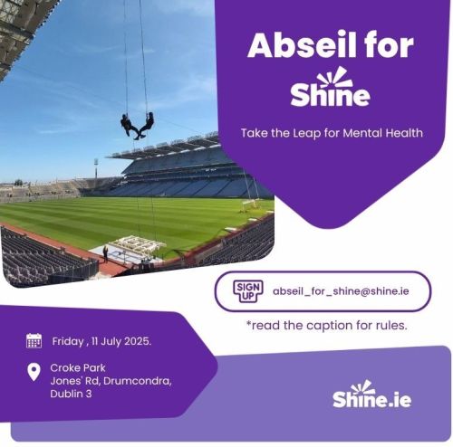 Abseil for Shine poster