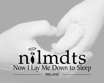 NILMDTS Ireland logo