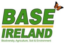 BASE Ireland logo