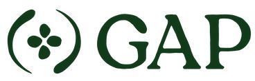 GAP logo