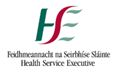 HSE logo