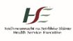 HSE logo
