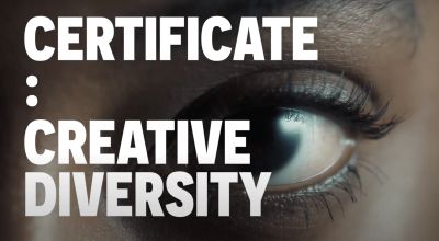 Professional Certificate in Creative Diversity – Level 9 imagee